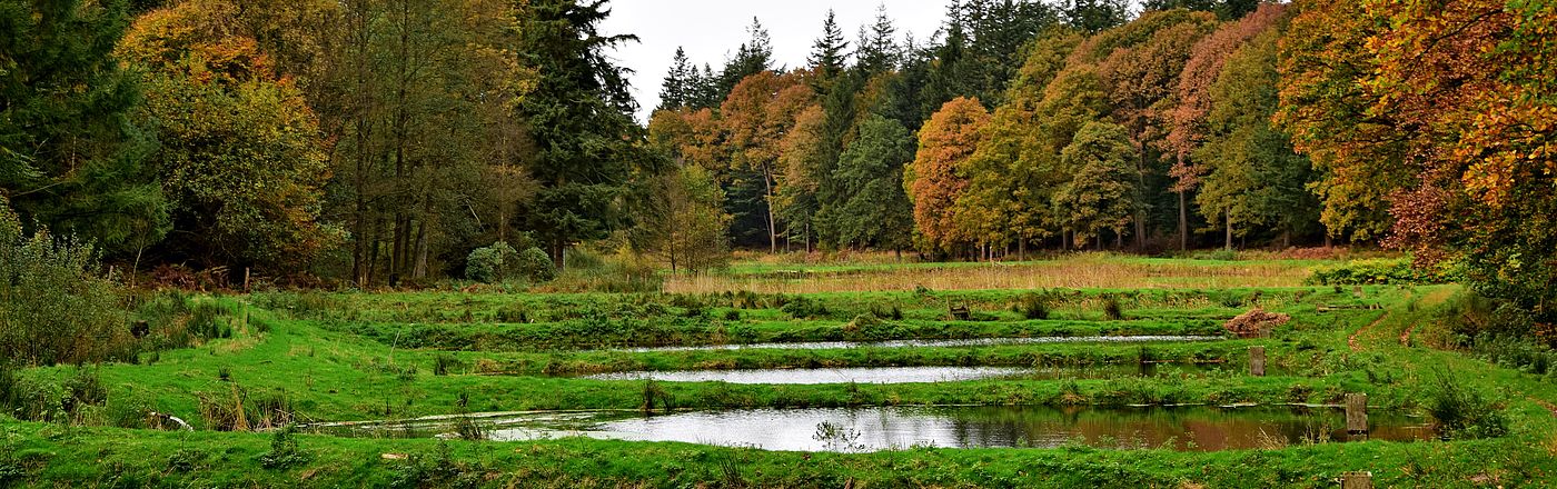 Amt Mittelholstein Meezen Gemeinde Meezen